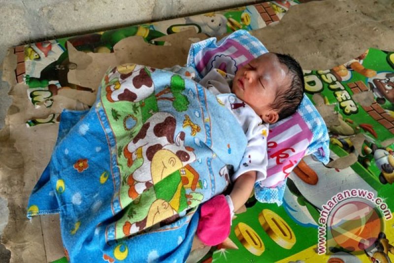 Warga Mesuji Temukan Bayi dalam Kardus