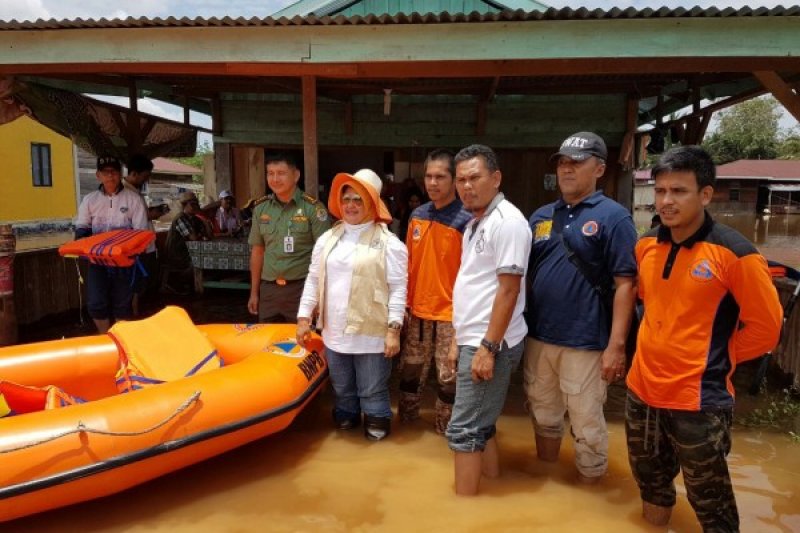 Penyerahan Bantuan Banjir Langgam dari Dinas LHK, Diskes dan IAI Provinsi Riau