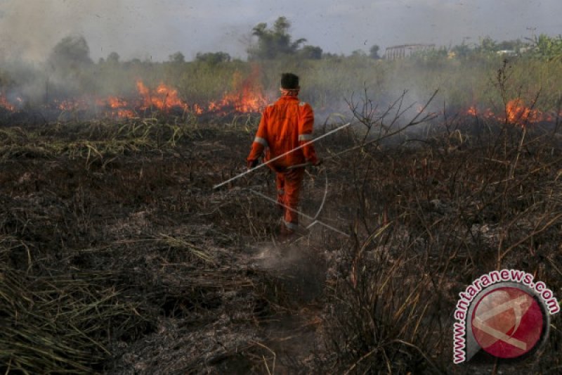 KEBAKARAN LAHAN DI OGAN ILIR