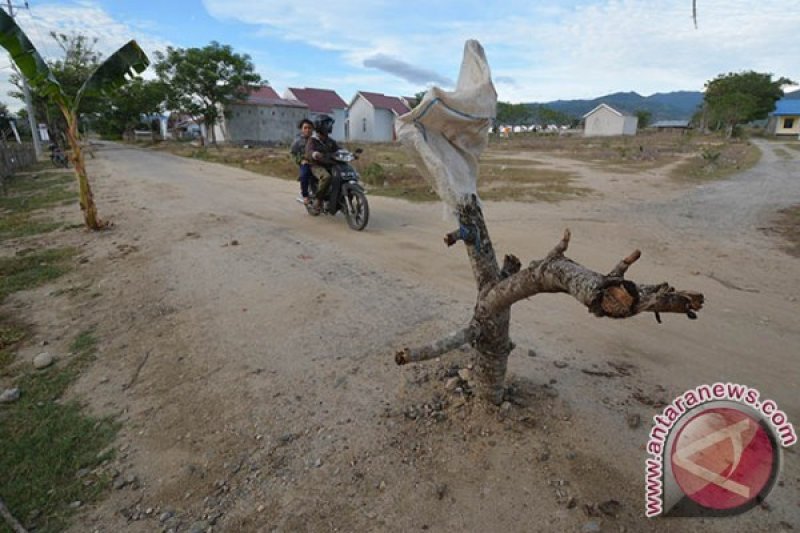 PROTES JALAN RUSAK