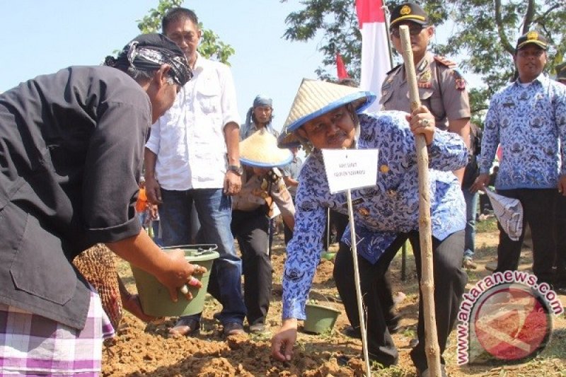 Indramayu Targetkan Tanam 10 Ribu Hektare Kedelai