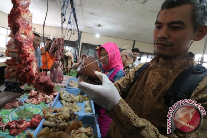 ANTISIPASI DAGING PALSU