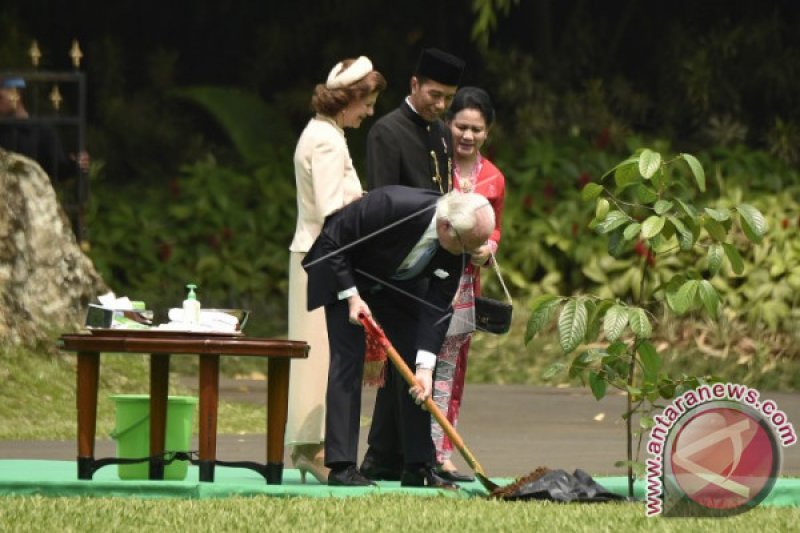 RAJA SWEDIA TANAM POHON