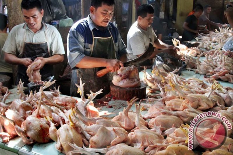 Harga Daging Ayam di Cianjur Naik