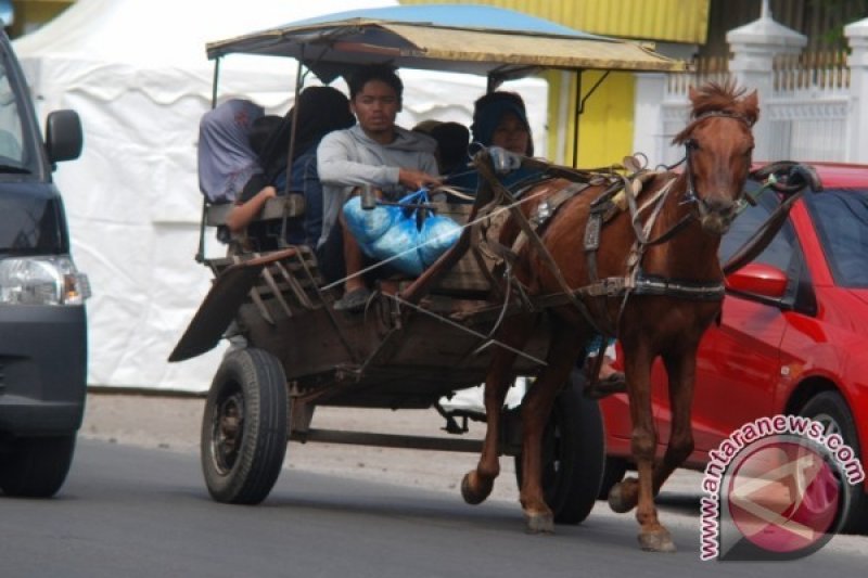 Pemilik delman dapat kompensasi selama arus mudik