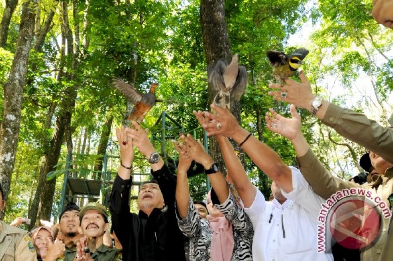 Sebanyak 550 Burung Dilepasliarkan di Tahura Dago 