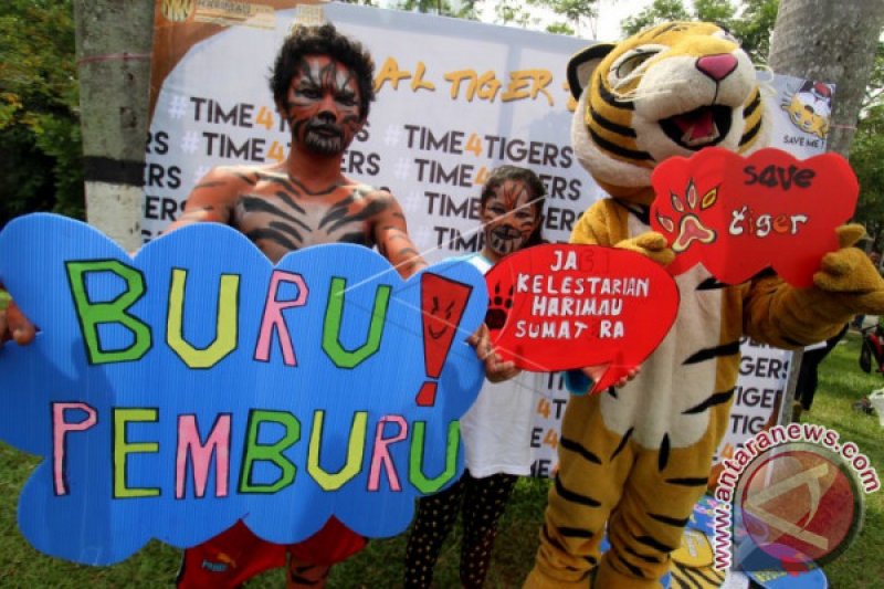 KAMPANYE PENYELAMATAN HARIMAU SUMATERA