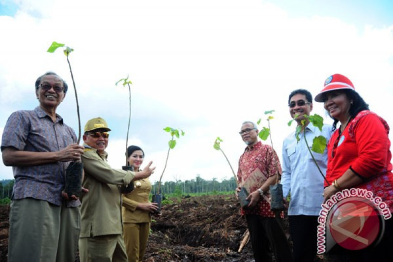 Aksi Proteksi Hutan