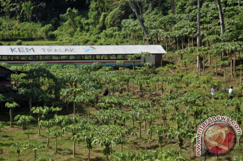 PENGEMBANGAN KAWASAN EKONOMI MASYARAKAT