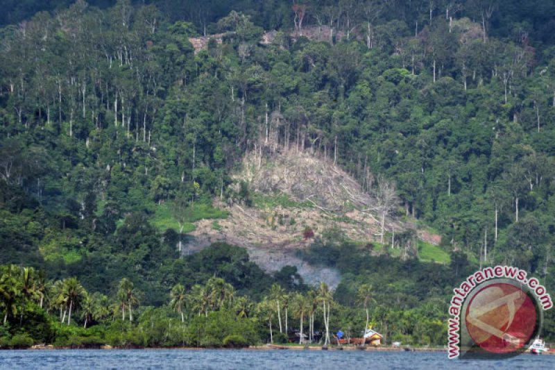 DEFORESTASI HUTAN SUMBAR