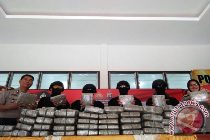 POLISI AMANKAN 60 KG GANJA