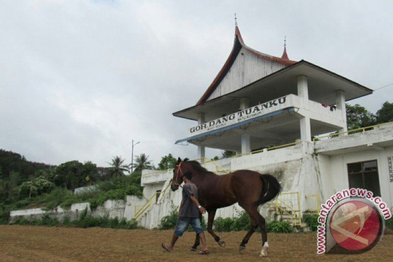 MELATIH KUDA PACU