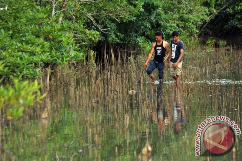 PENGEMBANGAN WISATA BAKAU