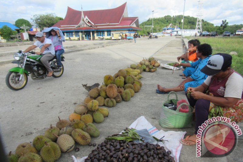 DURIAN MENTAWAI