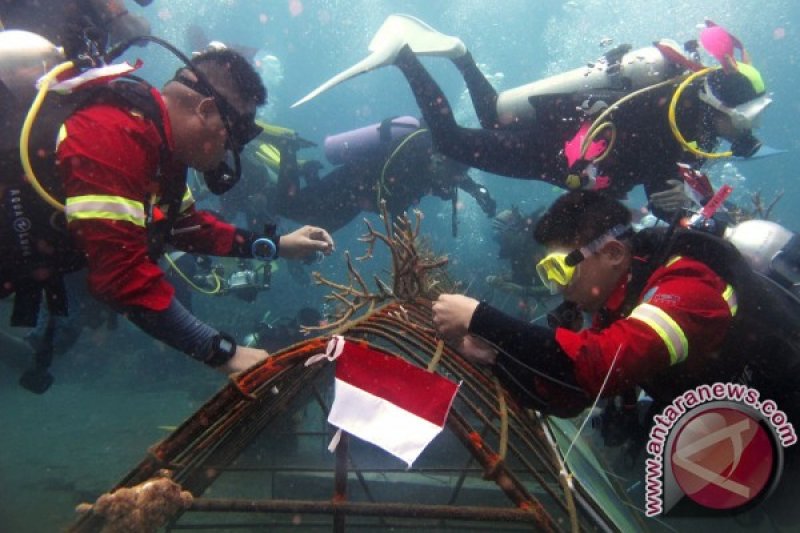 TRANSPLANTASI TERUMBU KARANG PANTAI MALALAYANG