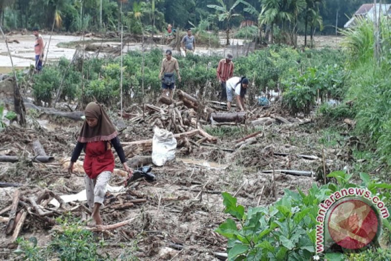 150 HA AREA PERTANIAN RUSAK AKIBAT BANJIR DAN TANAH LONGSOR LIMAPULUH KOTA