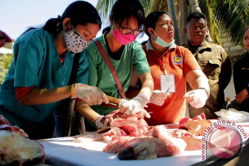 PEMERIKSAAN KESEHATAN DAGING KURBAN