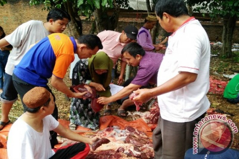 Kesehatan Daging Kurban