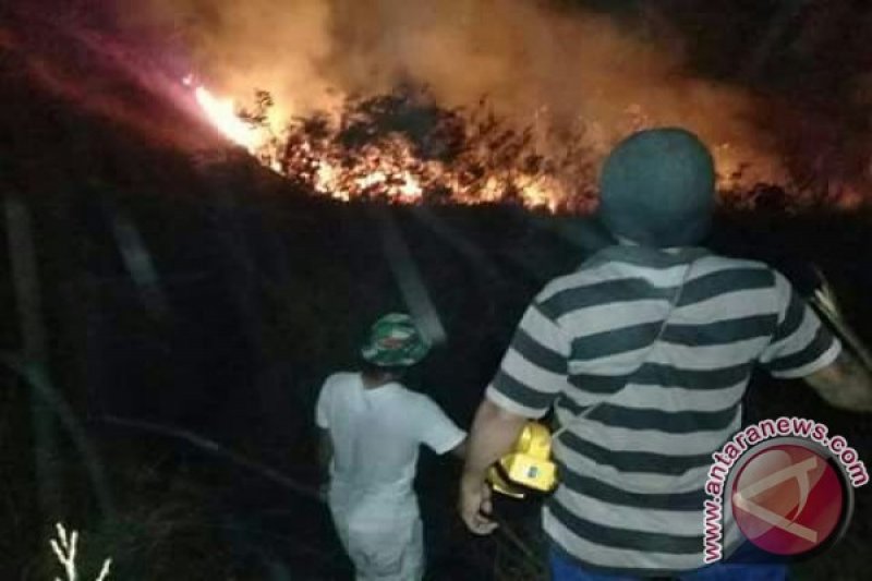 Hutan wisata Gunung Guntur terbakar