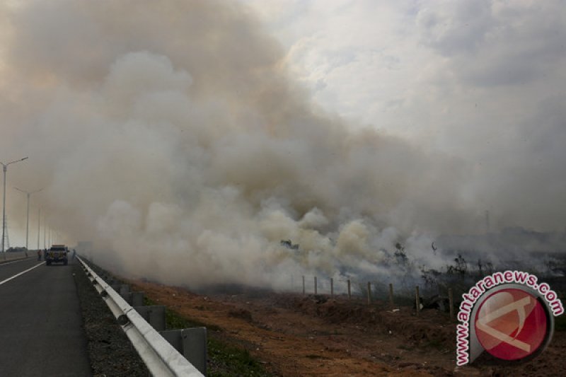 Kebakaran Lahan di Ogan Ilir