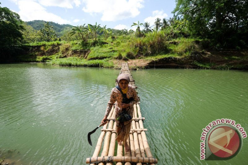 Jembatan sesek Selopamioro