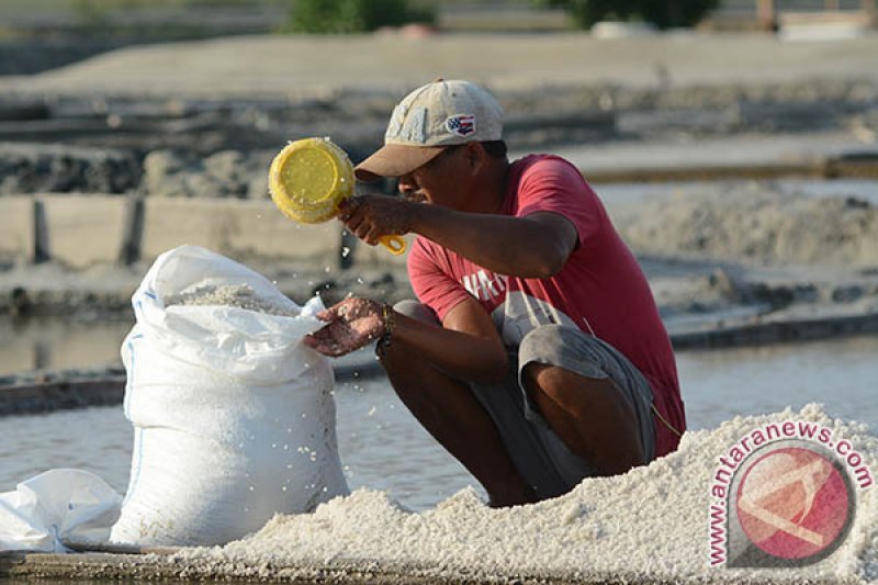 KEBUTUHAN GARAM UNTUK INDUSTRI