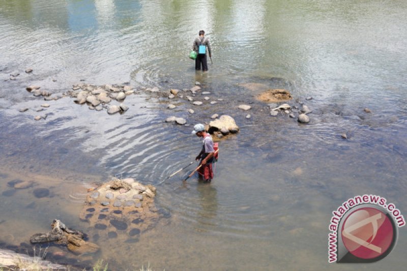 TANGKAP IKAN SUNGAI