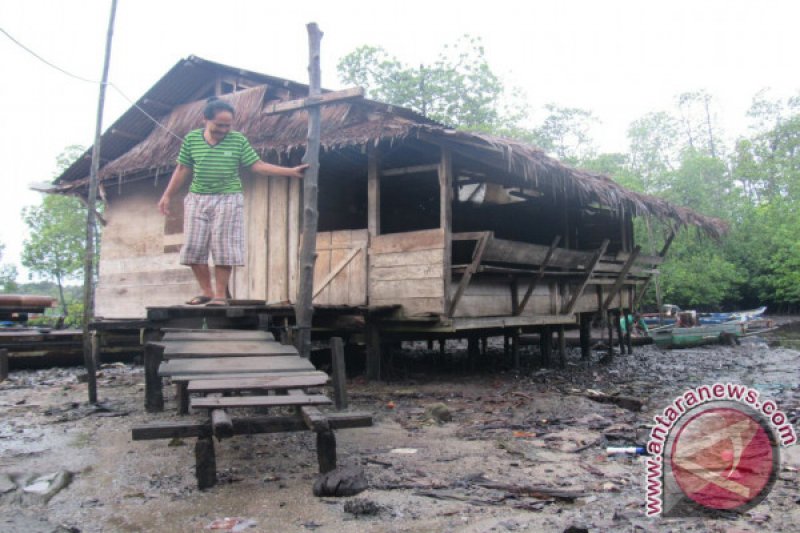 RUMAH ASLI PENDUDUK MENTAWAI