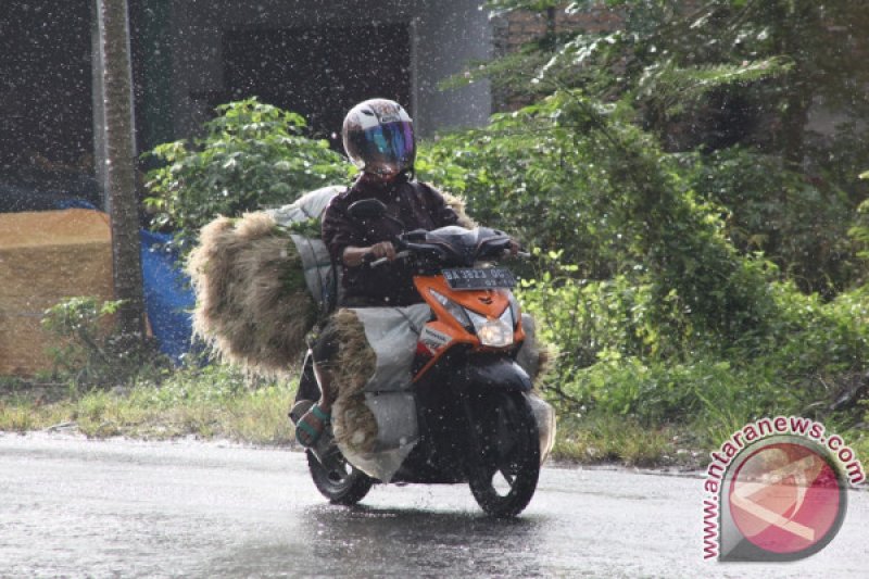 TRANSPORTASI PEDAGANG SAYUR