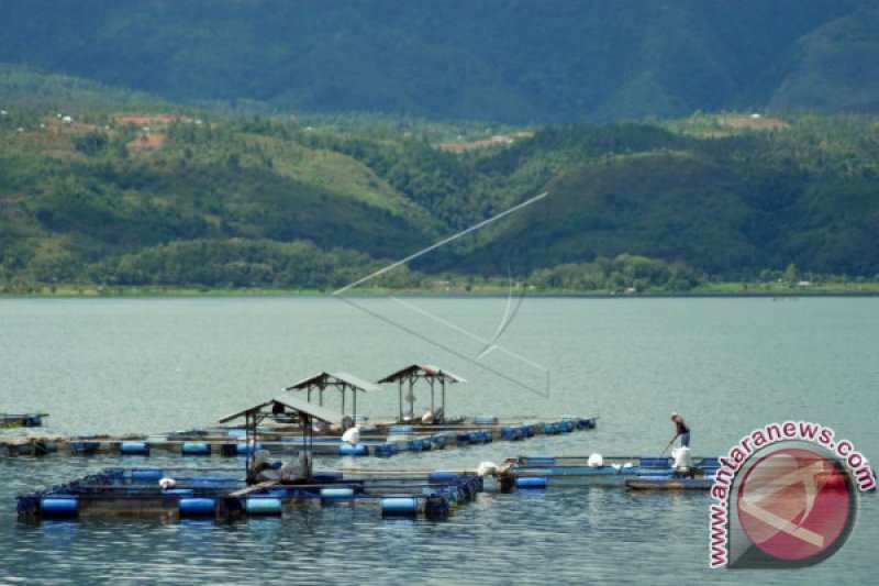 KARAMBA DANAU SINGKARAK