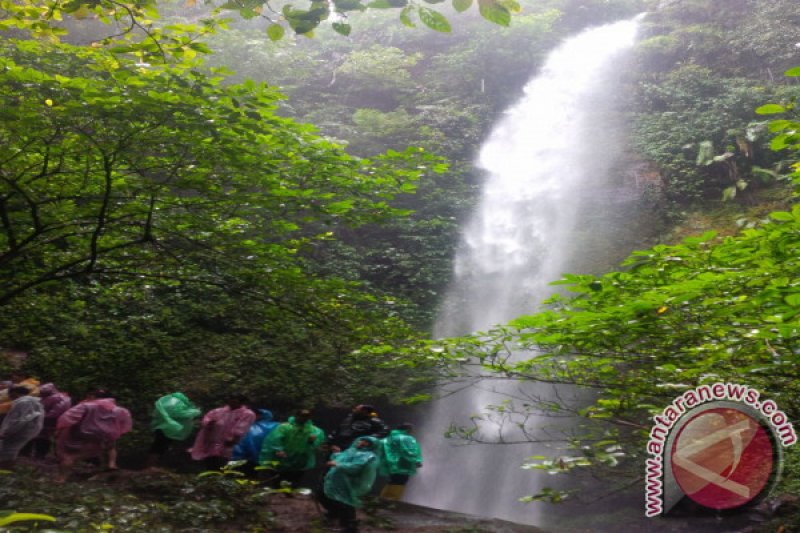 TNGGP Segera Kembangkan Wisata Curug Goong