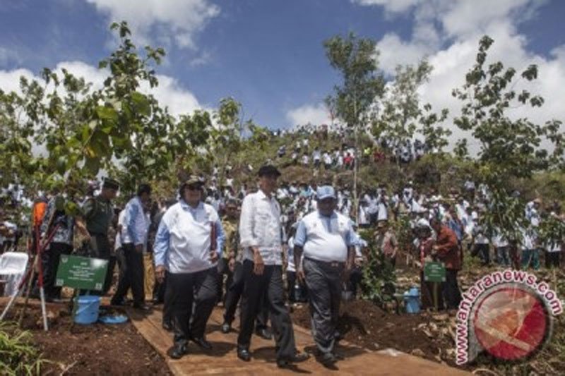 Presiden Tanam Pohon Di Gunungkidul