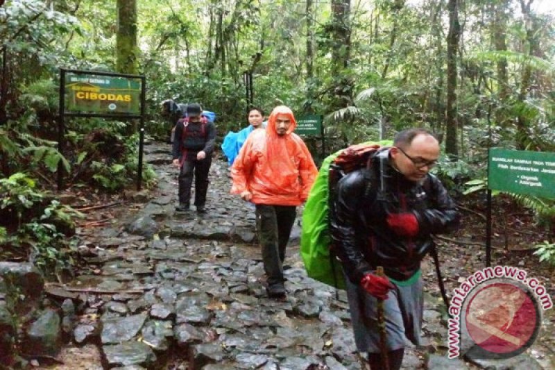 Balai Besar Taman Nasional Gunung Pangrango Tutup Pendakian 