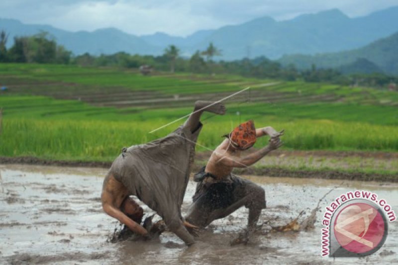 SILEK BAGOLUK LUNAU