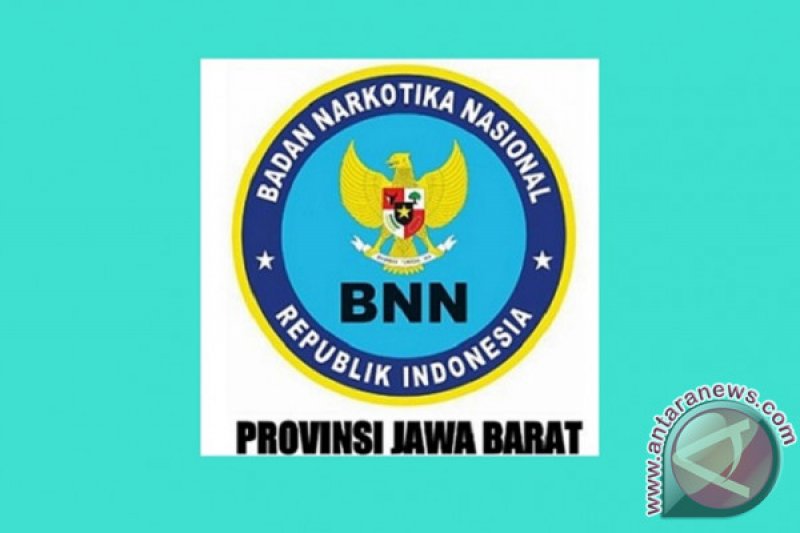 BNNP ungkap jaringan penyeludup sabu asal Medan