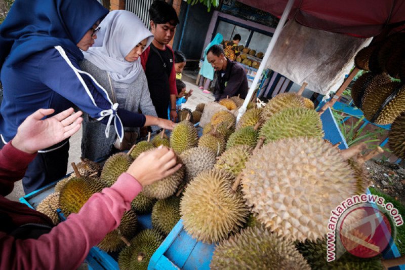 Penjual durian dadakan