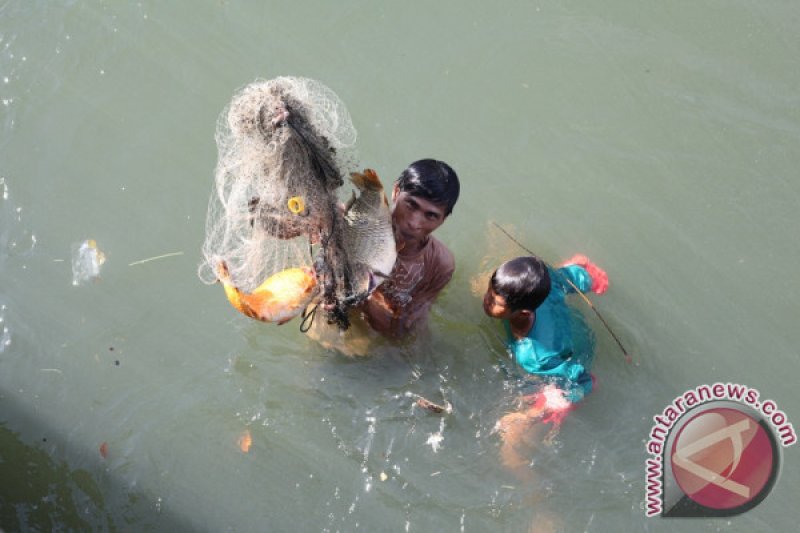 JARING IKAN SUNGAI