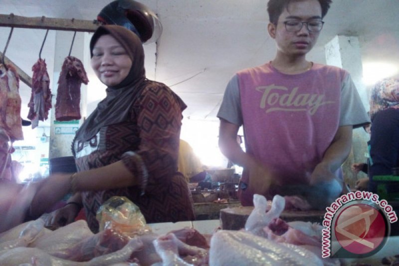 Dinas: kenaikan harga ayam permainan bandar