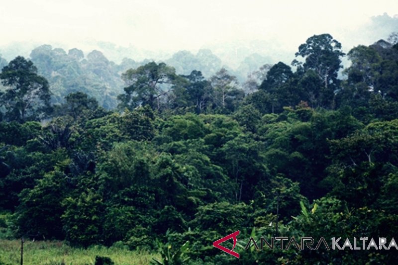 Beberapa obyek wisata Kalimantan Utara