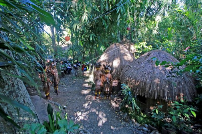 Suasana kampung primitif