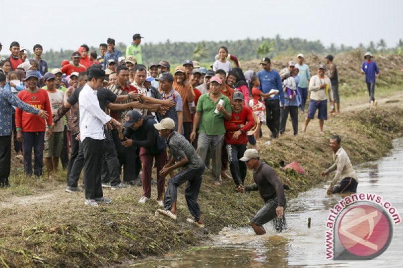 Presiden Tinjau Desa Padat Karya Tunai Banyuasin