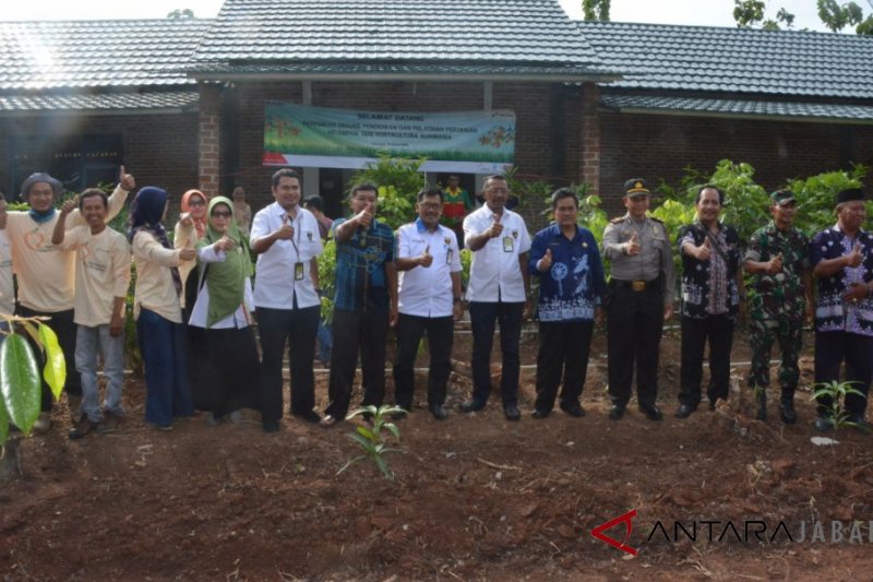 Mangga agrimania terus dikembangkan di Indramayu