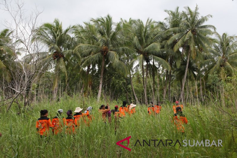 LATIHAN SAR MENTAWAI