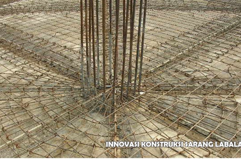 Konstruksi sarang laba-laba mendunia - ANTARA News Palu, Sulawesi