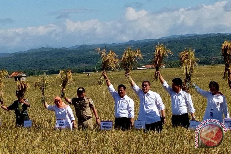 Produksi beras di Kabupaten Garut surplus 361.430 ton