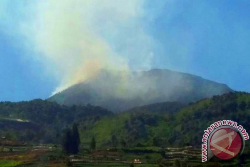 HUTAN GUNUNG TALANG TERBAKAR