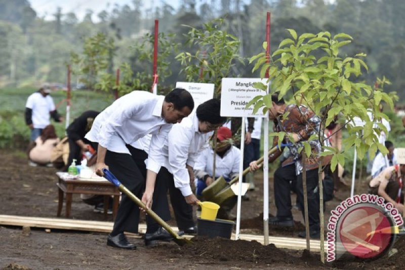 Satu juta pohon ditanam di lahan kritis sepanjang DAS Citarum