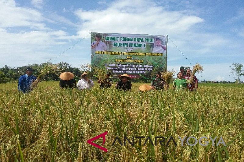 Kodim 0731 siap membantu Bulog penyerapan gabah