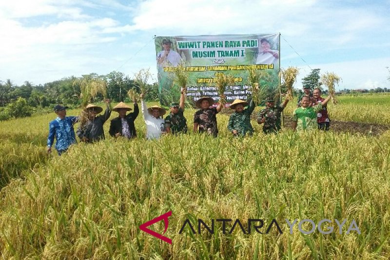 Kementan meminta bulog segera menyerap gabah petani