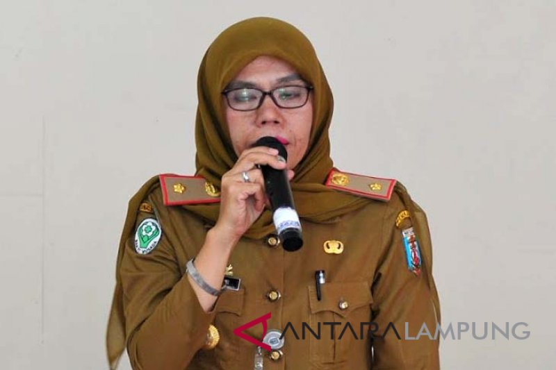 Dinkes Waykanan bentuk tim kesehatan arus mudik